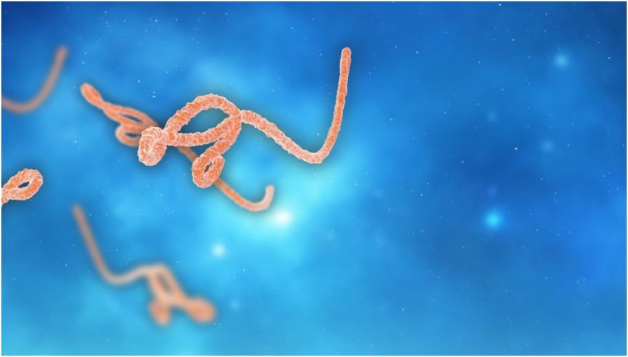 Ebola and the Microbiome: Facts You Need to Know