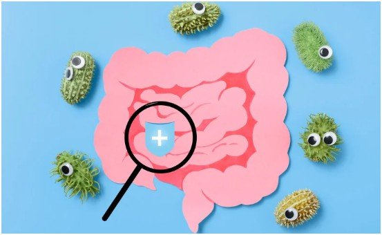 Leaky Gut, Bacterial Translocation, and Sepsis