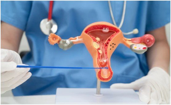 The Vaginal Microbiome and Sexual Transmission